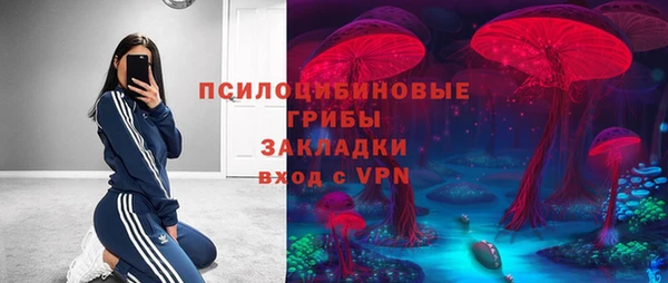 не бодяженный Арсеньев