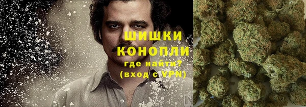 MESCALINE Аркадак