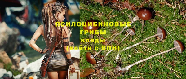 гидра Армянск
