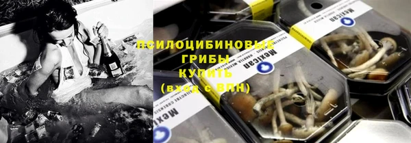 стаф Зерноград