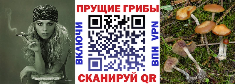 Псилоцибиновые грибы прущие грибы  сколько стоит  Ступино 